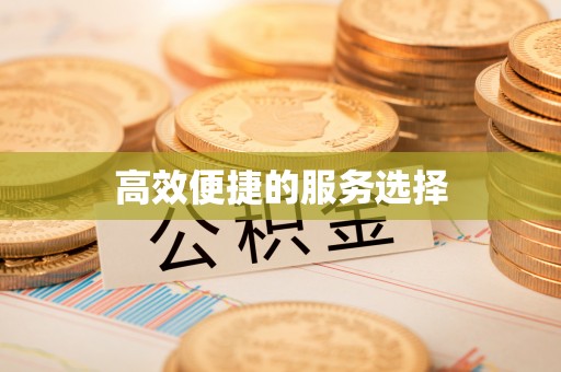 德钦高效便捷的服务选择